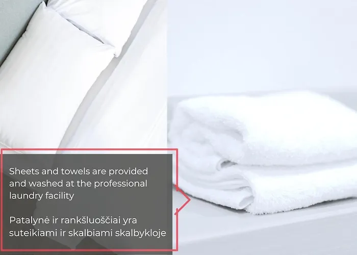 Cohost I New W-balcony, Self Check-in At The Renesanso Complex Apartment Vilnius